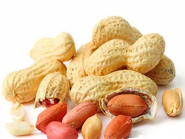 Về nhà, anh Lý kể cho bạn bè về tình trạng sức khỏe, được khuyên nên ăn lạc để bồi bổ dạ dày. Được biết, lạc chứa nhiều chất đạm và chất béo. Chất đạm khi đi vào cơ thể có tác dụng trung hòa axit dịch vị. Trong khi đó, chất béo có tác dụng kích thích niêm mạc ruột tiết ra chất gastrin, ức chế tiết axit dịch vị.