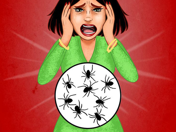 Nhện trèo lên người khi ngủ. Sự thật nhện không thích thú với người nên rất ít khi chúng trèo lên cơ thể khi chúng ta ngủ. Hơi thở nặng nhọc cùng tiếng ngáy của người cũng là lý do khiến chúng không muốn tiếp cận.