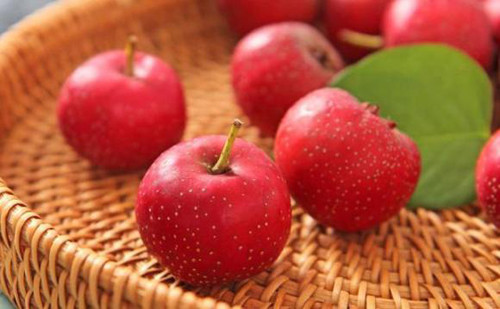 Ăn nhiều trái cây chứa chất tanin. Các loại trái cây như hồng, táo gai... chứa nhiều chất tanin. Khi đi vào cơ thể, tanin có thể phản ứng với axit dạ dày và protein trong dạ dày để tạo thành các chất giống như thạch, theo thời gian có thể kết thành sỏi dạ dày. Vì vậy, chúng ta – đặc biệt là nhóm người trung niên và cao tuổi không nên ăn quá nhiều trái cây chứa nhiều tanin; không ăn hồng và táo gai khi bụng đói.