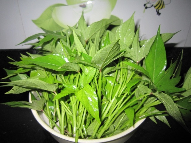 Rau lang chứa hàm lượng chất xơ dồi dào nên hỗ trợ tiêu hóa hoạt động và tiêu thụ các chất béo tích tụ bên trong cơ thể rất tốt. Vì thế, loại rau này rất phù hợp cho người muốn ăn kiêng để giảm cân, người thường xuyên bị táo bón. (Nguồn Caynhalavuon)