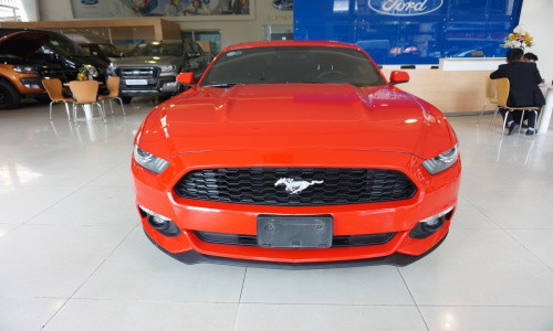 Mẫu xe ôtô Ford Mustang là dòng xe cơ bắp của hãng xẽ Ford sản xuất lần đầu tiên năm 1964, đến nay dòng xe này đã trãi qua hơn 50 năm hình thành và phát triển. Cái tên Ford Mustang được đặt theo tên một loại máy bay chiến đấu thời Thế chiến thứ II: P-51 Mustang.