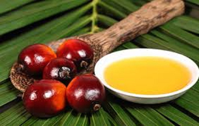 Bên cạnh lợi ích thì dầu cọ gây hại cho sức khỏe bởi chứa nhiều chất béo bão hòa (60%). Trong đó có axit panmitic, được biết đến là một loại axit có thể tích tụ trong cơ thể, gây xơ vữa mạch máu và ung thư. Nếu sử dụng quá nhiều, lượng cholesterol xấu trong máu sẽ tăng, làm gia tăng nguy cơ mắc các bệnh tim mạch.