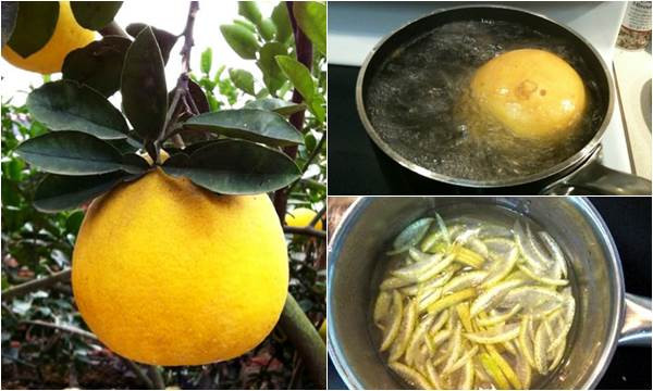 Uống nước luộc bưởi trong vòng một tuần có thể giúp bạn thay đổi vóc dáng đáng ngạc nhiên. Thật không ngoa khi nói nước luộc bưởi là thứ nước “thần thánh” giúp giảm cân hiệu quả với chị em phụ nữ. (Nguồn Blogtamsu)