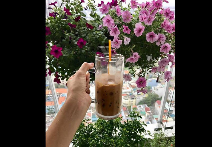 Phòng ăn cũng có nhiều cây xanh và ngắm được cảnh đẹp bên ngoài.