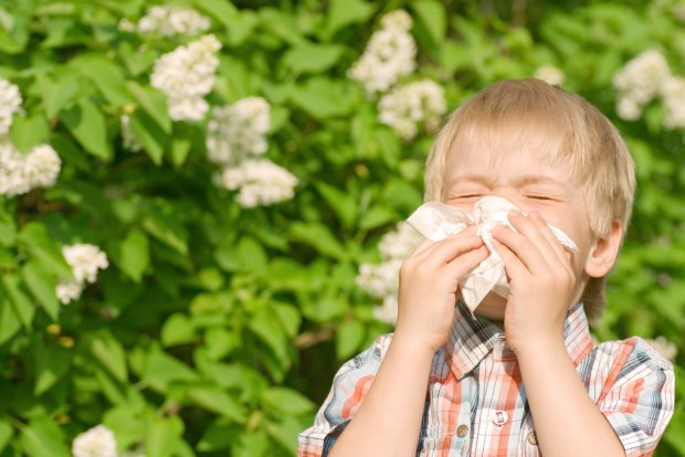 Mọi nơi trên thế giới đều có những chất gây dị ứng. Ảnh: cbc.