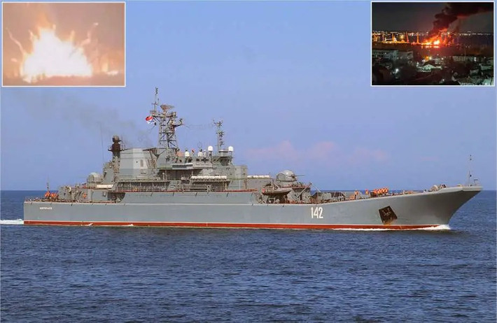 Tàu Novocherkassk trước đó cũng đã chịu thiệt hại tại cảng Berdiansk vào tháng 3/2022 và trong cùng cuộc tấn công đó một tàu đổ bộ khá lớn khác là Saratov cũng đã bị phá hủy.