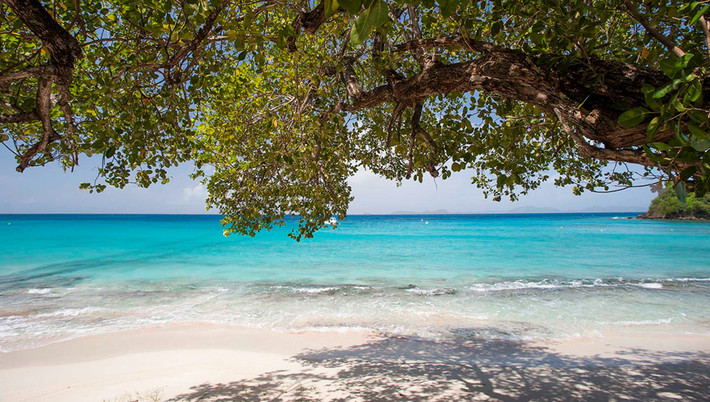 Hoàng gia Anh và giới siêu giàu thường đến vịnh Gelliceaux tuyệt đẹp trên đảo Mustique, nơi sở hữu làn nước biển màu ngọc lam trong xanh để nghỉ dưỡng. Em gái của Nữ hoàng Elizabeth II luôn ca ngợi vẻ đẹp nguyên sơ của đảo Mustique và dành trọn tình yêu cho thiên đường biển đảo này. Ảnh: Cotton House.