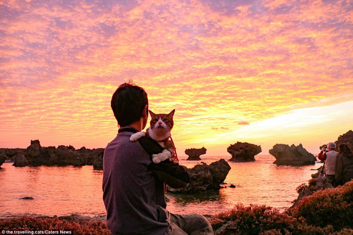Ông Nagasawa và Daikichi thưởng thức bầu trời hoàng hôn màu hồng tuyệt đẹp khi mặt trời bắt đầu lặn trên một bãi biển ấn tượng của Nhật Bản.