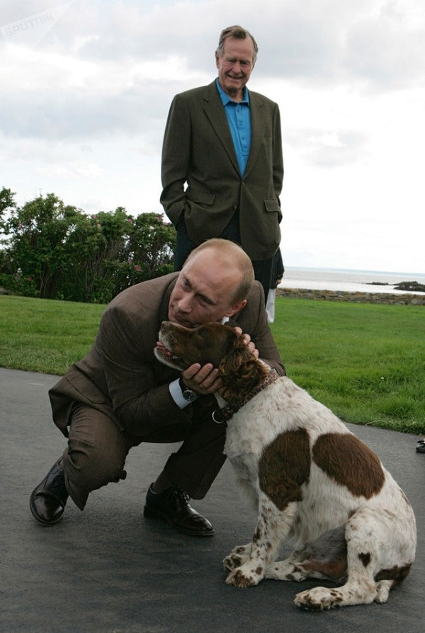 Không khó để bắt gặp những khoảnh khắc ông Putin cưng nựng động vật.