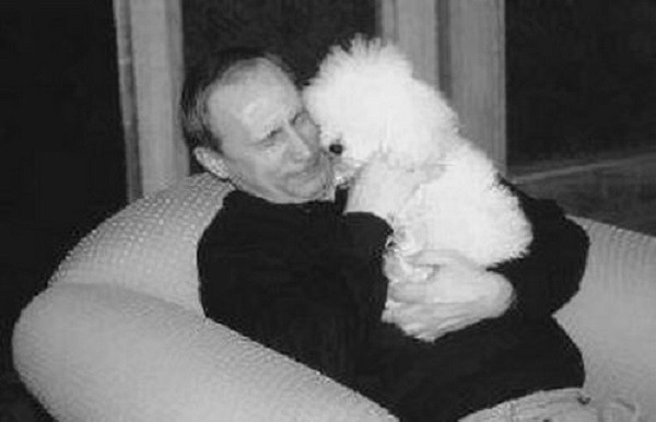 Trước đó, gia đình ông Putin cũng nuôi hai chú chó con là Tosya và Rodeo. Chúng được cho là được bà Lyudmila nuôi dưỡng sau khi cả hai ly hôn.