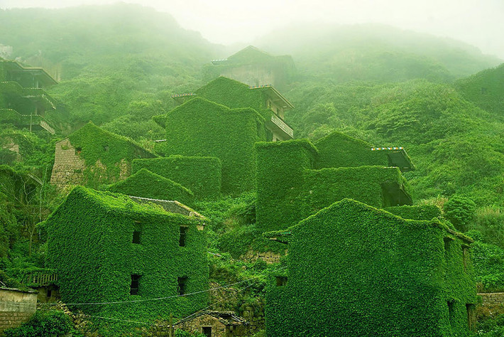 Thật khó tin nhưng khung cảnh "một màu xanh xanh" tại làng chài Houtouwan trên đảo Shengshan, quần đảo Shengsi, tỉnh Chiết Giang, Trung Quốc là do bị thực vật xâm lấn sau gần 30 năm bỏ hoang.