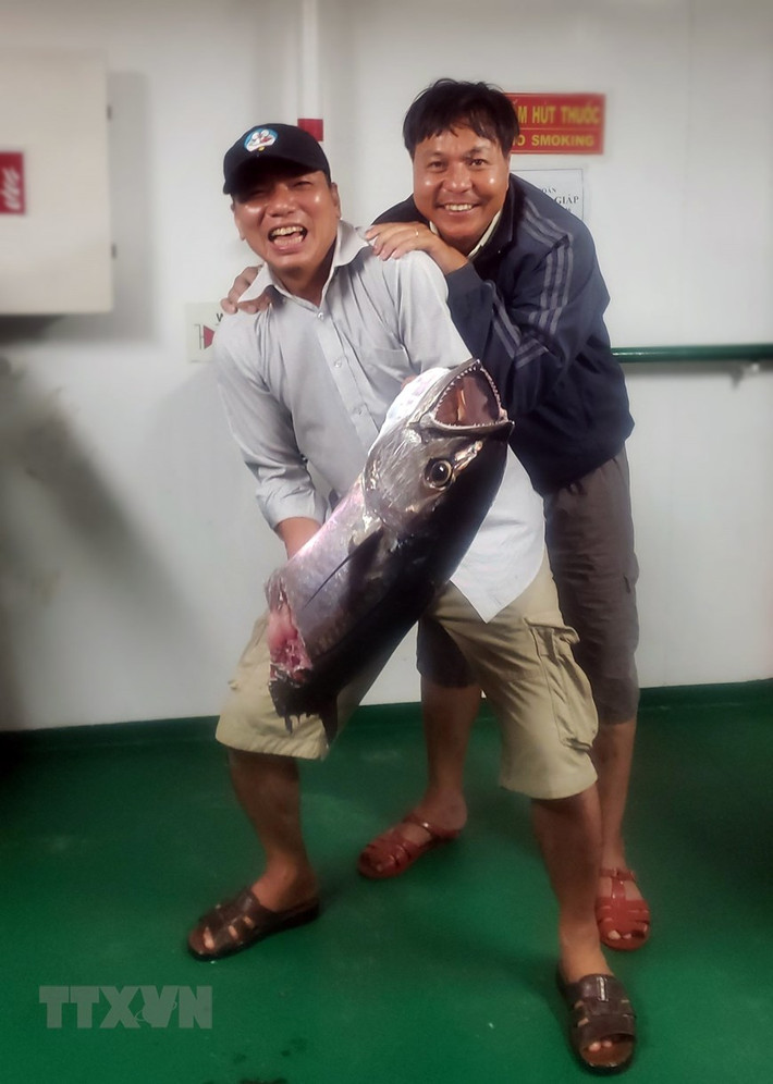 Tuy chú cá thu câu được bị cá săn mồi ăn mất nửa thân dưới nhưng mọi người vẫn tỏ ra hào hứng với kết quả của buổi câu. (Ảnh: Hoàng Hùng/TTXVN)