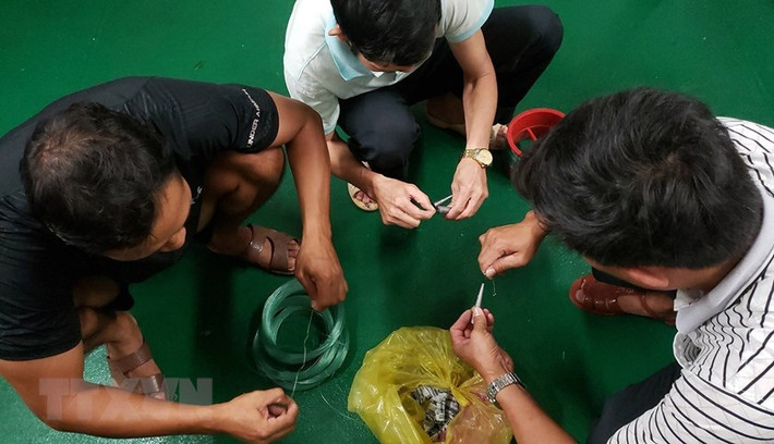 Tháo cuộn cước, gắn các thỏi chì, buộc lưỡi câu chuẩn bị cho một buổi câu đêm.(Ảnh: Hoàng Hùng/TTXVN)