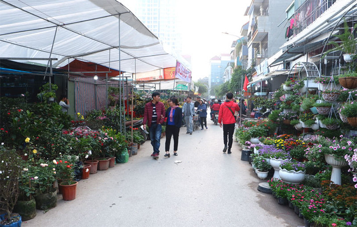 Nhưng trước Tết Nguyên đán gần 3 tuần khu chợ nhộn nhịp hẳn lên bởi nhiều nhà vườn, lái buôn đã đưa về đây khá nhiều loại hoa, cây cảnh phục vụ cho nhu cầu chơi Tết, như: Đào, quất, hoa lan các loại, trà, hồng, cúc, đỗ quyên … Chợ hoa - sinh vật cảnh Vạn Phúc khá nhiều loại hoa, cây cảnh.