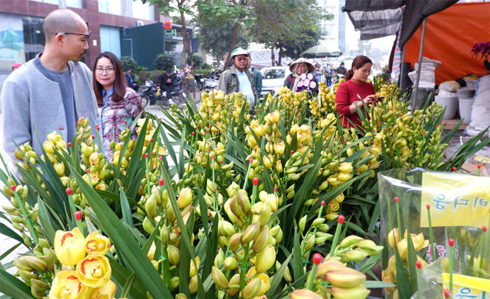 Ông Nguyễn Văn Thế chia sẻ: Tôi năm nào cũng đi chợ Tết tại Vạn Phúc. Ở đây có khá nhiều loại cây cảnh từ to đến nhỏ. Đặc biệt, Tết đến tại đây hội tụ các loại hoa, cây cảnh chơi Tết như đào, quất, bưởi thế, hoa lan … Giá cả ở đây khá ổn định. Hầu hết các hàng nói giá bán chứ ít nói thách như những nơi khác. Hoa địa lan cũng chỉ từ 150.000 – 200.000 đồng/cành. Phong lan có giá từ 100.000 – 200.000 đồng/cành tuỳ cành dài hay ngắn.