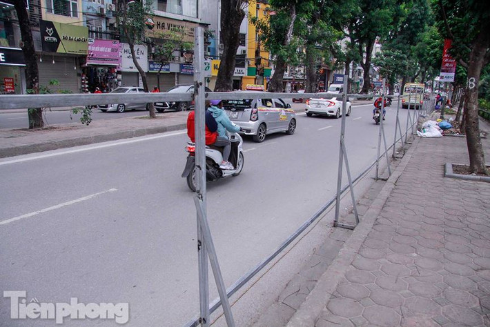 Các cây chặt hạ là những cây sâu, rỗng thân, nghiêng, cong queo phát triển không bình thường hoặc cây đã chết, không phù hợp chủng loại cây đô thị.