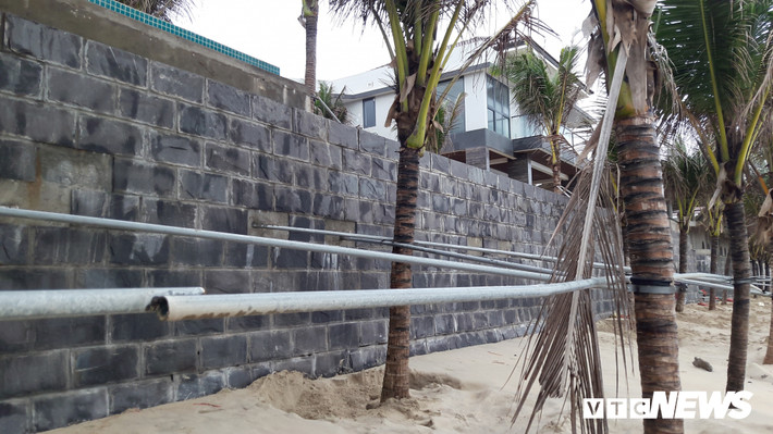 Các thanh sắt có chiều dài từ 3 đến 4m được dùng để kè chống hai hàng dừa phía sau khu resort ven biển.