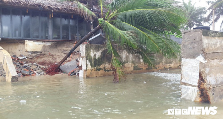 Trước đó, trận mưa ngập lịch sử kéo dài từ ngày 8 đến ngày 11/12/2018 đã "ngoạm" mất đoạn bờ biển kéo dài 300m ven đường Võ Nguyên Giáp khiến nhiều cây dừa bị xới tung gốc.