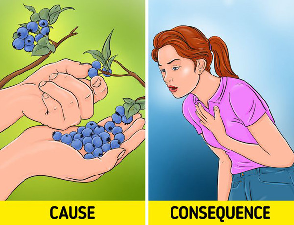 Đáng lưu ý, việt quất có thể làm giảm lượng glucose trong máu xuống dưới mức bình thường gây nguy hiểm cho những người mắc tiểu đường. Thành phần quả việt quất cũng làm loãng máu nên bạn cần hết sức thận trọng nếu đang dùng thuốc.