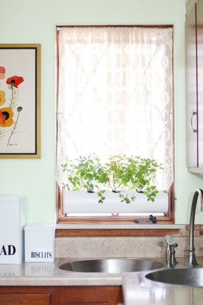 Trồng cây. Khoét lỗ nhỏ trên ống và cho đất vào, vậy là bạn đã có một chậu cảnh thật độc đáo. Chậu cảnh này có thể đặt ở bậu cửa sổ hay treo tùy ý.