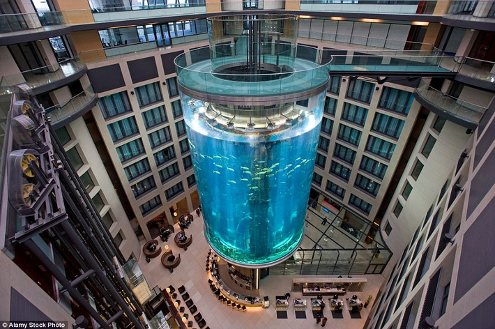 Aquadom là khách sạn sang trọng độc đáo nằm ở thủ đô Berlin nước Đức được thiết kế với chiều cao 25 mét và được bao bọc bên ngoài bằng 1 bể cá hình trụ làm bằng kính Acrylic trông rất độc đáo.
