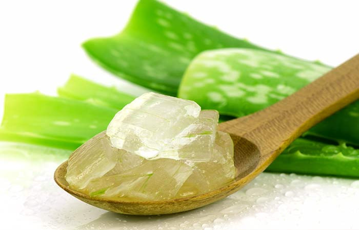 Bạn có thể thay khoai tây bằng nha đam vì loại cây này cũng có tác dụng giảm đau và giúp vết thương mau lành. (Nguồn Stylecraze