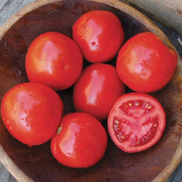 Bên cạnh khoai sọ, cà chua cũng có khả năng tiêu u rất nhạy do có chứa lycopene và carotenoid giúp làm giảm yếu tố hoại tử khối u bằng ⅓ chỉ sau một tháng. (Nguồn Highmowingseeds)
