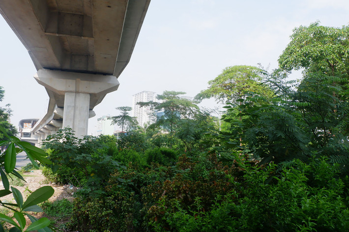 Mặc dù, tuyến đường sắt Cát Linh – Hà Đông đoạn đi qua khu vực hồ Hoàng Cầu đã cơ bản hoàn thiện các hạng mục từ lâu, nhưng hiện nay, dải phân cách cứng bên dưới gầm đường sắt lại biến thành một nơi bỏ hoang, cây cỏ dại mọc um tùm do dự án tiếp tục chậm tiến độ, chưa thể đi vào khai thác.