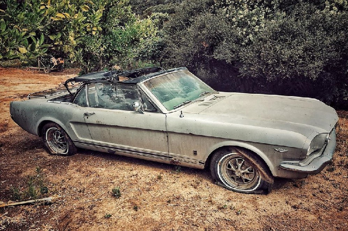 Theo đó, nam diễn viên "Aquaman" đã lên kế hoạch phục chế một chiếc ô tô mang thương hiệu Ford Mustang đời 1965. Đây chính là chiếc ôtô đầu tiên của Lisa Bonet - vợ Jason Momoa. Bà xã của nam diễn viên sở hữu chiếc Ford Mustang này vào năm 17 tuổi.