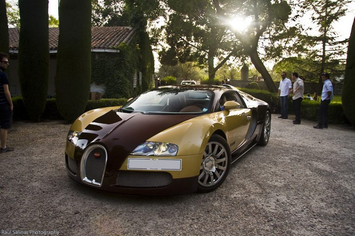 Những chiếc siêu xe Bugatti Veyron không chỉ là một “con quái thú” đường phố, mà mỗi chiếc xe lại mang trên mình một phong cách phối màu khác biệt, thậm chí là độc đáo, mang đậm dấu ấn của chủ sở hữu hoặc mang trên mình những cột mốc đáng ghi nhận trong ngành xe hơi của Bugatti. Cả 450 chiếc Bugatti Veyron đều đã được đặt trước, với giá bán thấp nhất ở mức hơn 1 triệu Đô-la và cao nhất lên đến vài triệu Đô-la cho những chiếc xe phiên bản đặc biệt.