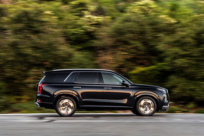 Tại thị trường Việt Nam, mẫu xe 7 chỗ Hyundai Palisade này sau nhiều thông tin đồn đoán vẫn chưa có dấu hiệu ra mắt hay mở bán. Nếu được phân phối tại nước ta, Hyundai Palisade sẽ là một lựa chọn mới cho khách hàng Việt khi có nhu cầu lựa chọn mua xe SUV cỡ trung 3 hàng ghế (mid-size SUV). Đối thủ của xe tại Việt Nam hiện chỉ có Ford Explorer.