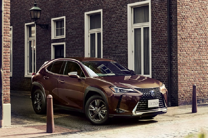 Mẫu xe sang Lexus UX250h màu độc đầu tiên là biến thể sử dụng chất liệu da Noble Brown cho bảng táp-lô, ghế và ốp cửa bọc da đen.