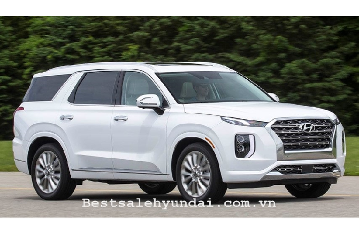 Từ đợt ra mắt lần đầu từ tháng 12/2018 nhưng Hyundai đã nhận hơn 20.000 đơn đặt hàng Palisade tại thị trường nội địa. Doanh số tích lũy xe trong năm 2019 đạt 52.299 chiếc, hơn cả Venue, Kona hay Tucson.