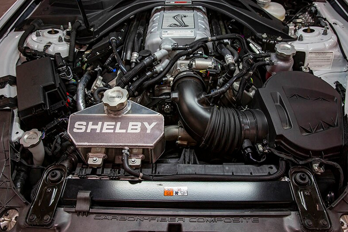 Giống như những phiên bản đặc biệt khác mà Shelby American thực hiện với Mustang, mỗi chiếc xe thuộc dòng sản phẩm này đều sẽ được đánh số CSM và thông tin sẽ được lưu trữ lại trên hệ thống Shelby American Registry.