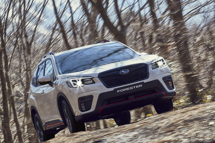 Giá xe Forester Edition Sport40 tại Đức từ 39.956 EUR (tương đương 47.023 USD). Tại Việt Nam, Subaru Forester được nhập khẩu từ Thái Lan. Xe có 3 phiên bản gồm 2.0 i-L, 2.0 i-S và 2.0 i-S EyeSight, giá bán niêm yết lần lượt là 1,128 tỷ, 1,218 tỷ và 1,288 tỷ đồng.
