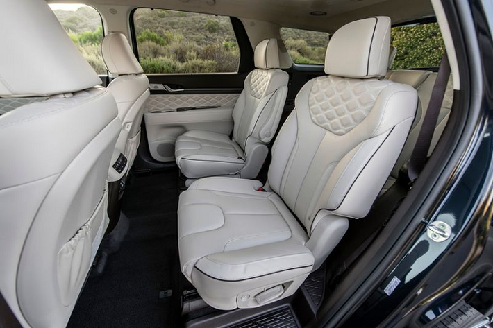 Vì được xây dựng trên Huyndai Palisade Limited, xe có hệ thống đèn viền nội thất nhiều màu sắc, dàn âm thanh hiệu Harman Kardon, cụm đồng hồ công-tơ-mét dạng màn hình LCD với kích thước 12.3 inch, ghế ngồi có sưởi / thông gió, ghế thuyền trưởng cho hàng ghế thứ 2 và hệ thống thông tin giải trí 10,25 inch có định vị GPS.
