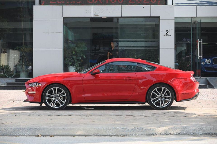 Tin đồn này xuất hiện từ thông tin rao bán xe và logo Mustang Fifty Five Years đặt bên trong khoang lái chiếc xe Ford Mustang màu đỏ này. Tuy nhiên, đây chỉ là một logo để tạo sự nhận biết cho các mẫu xe được sản xuất trong năm 2019, đánh dấu sinh nhật lần thứ 55 của dòng xe Ford Mustang.