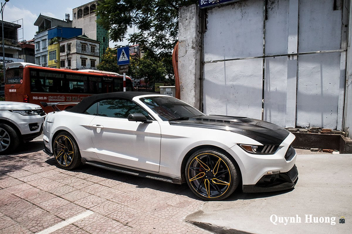 Dòng xe cơ bắp Ford Mustang không phải là dòng xe xa lạ đối với người tiêu dùng Việt Nam, dù không được phân phối chính hãng nhưng xe thường được những tín đồ đam mê tốc độ yêu thích và muốn sở hữu. Do không phải hàng chính hãng nên mỗi chiếc Ford Mustang về nước sẽ đều thông qua đại lý tư nhân với những chi tiết riêng biệt.