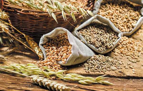 Vì thế, thay vì cắt bỏ hoàn toàn tinh bột và ngũ cốc, hãy tiêu thụ một lượng ngũ cốc nguyên hạt vừa phải hoặc theo các khẩu phần phù hợp với nhu cầu năng lượng của bạn. Ảnh: healthplus.