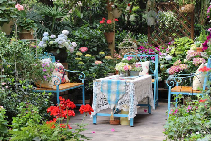 Mảnh vườn nhỏ rộng khoảng 40 mét vuông thuộc ngôi nhà mà gia đình chị Linh mới chuyển đến. Có lẽ chủ cũ của ngôi nhà đã rất lâu rồi không sống tại đây nên khu vực vườn bị bỏ hoang trông vô cùng tiêu điều, thiếu sức sống. Hơn nữa, so với nhiều khu vườn chị Linh thường thấy thì mảnh vườn này lại có dạng dài hẹp chứ không hề vuông vắn. Tuy nhiên, chị Linh nghĩ rằng khi bạn đã có đam mê và tình yêu với hoa lá cỏ cây thì không gì là không thể.