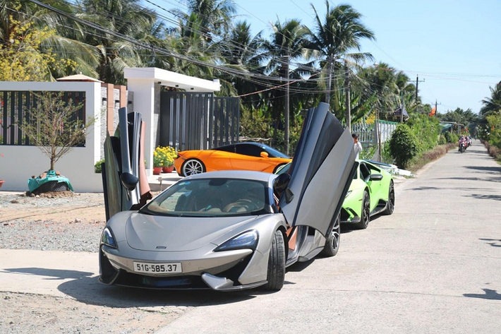 Dàn siêu xe này bao gồm 3 chiếc xe Ferrari, 3 xe McLaren, 2 chiếc siêu xe của thương hiệu xe Lamborghini cùng với 2 xe siêu sang của Rolls-Royce.. đã trải qua đường bộ, phà và thậm chí vượt qua các cây "cầu khỉ" đã được bê tông hóa với chiều rộng chưa tới 2m khiến không ít người xem phải thích thú. Đây không phải là lần hiếm hoi có 1 đoàn siêu xe hàng hiếm gần 10 chiếc du Xuân tại miền Tây.