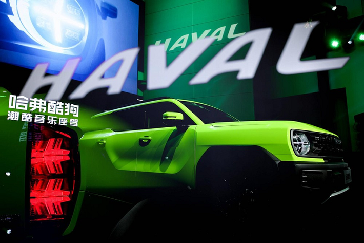 Mẫu xe SUV Haval Cool Dog 2022 chính là phiên bản thương mại của mẫu xe concept mang tên X-Dog từng ra mắt trong triển lãm Ô tô Thượng Hải 2021. Đồng thời, đây là mẫu SUV thứ hai của Haval có chữ "Dog" trong tên gọi, sau Big Dog. Được biết, trong tương lai, Haval còn dự kiến ra mắt 5 mẫu xe nữa với cách đặt tên tương tự, bao gồm Beta Dog, Alpha Dog, Delta Dog, Epsilon Dog và Gamma Dog.