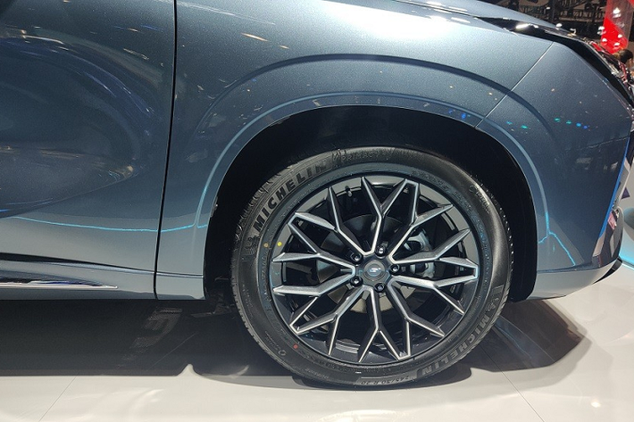 Riêng Changan Oshan Z6 iDD sẽ có những điểm nhấn màu xanh dương làm đặc điểm nhận dạng như logo và viền khe gió trên đầu xe. Bên trong Changan Oshan Z6 là không gian nội thất có khá nhiều trang bị với một mẫu xe giá rẻ. Theo đó, ở bản máy xăng tiêu chuẩn, xe có hệ thống âm thanh 4 loa, 2 màn hình, bao gồm màn hình 10,25 inch của bảng đồng hồ kỹ thuật số và màn hình thông tin giải trí 12,3 inch, camera lùi cũng như hệ thống kiểm soát hành trình. Ở phiên bản PHEV tiêu chuẩn, Changan Oshan Z6 có thêm camera 360 độ và hệ thống sưởi pin.