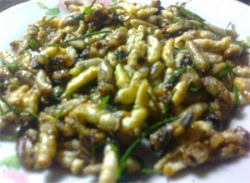 Món ăn đạt chuẩn là nhộng giữ được hình thù ban đầu, không bị nát, béo ngậy và có mùi thơm đặc trưng. Nhộng ong xào có thể ăn với cơm hoặc bánh tráng nướng. Ảnh: aquabird
