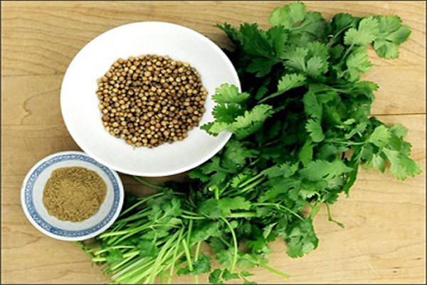 Với những hợp chất ưu việt trên, năng lực đặc biệt giảm rủi ro ung thư của mùi tây thấy rõ. Ngoài ra, mùi tây cũng có thể bảo vệ xương không bị xốp, loãng với một nguồn khoáng chất dồi dào của canxi, magiê, fluor và boron.