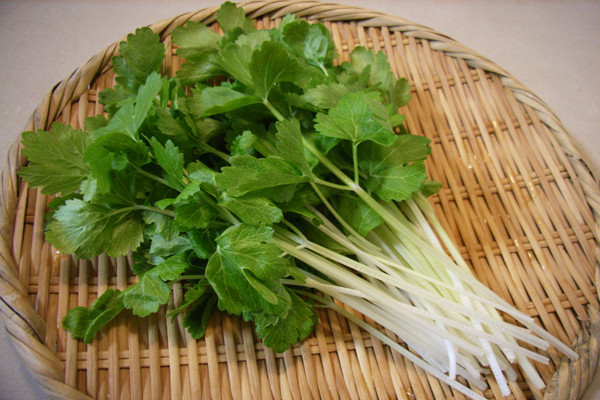 Các luteolin flavonoid trong rau mùi có thể giảm tác động của các hợp chất gây ung thư như các amin dị vòng và các hydrocacbon thơm đa vòng (2 chất này được tìm thấy nhiều trong thịt nấu chín). Luteolin cũng có tác dụng chống tăng sinh các hormone gây ung thư như tuyến tiền liệt, tuyến giáp và ung thư vú.