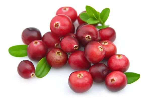 Quả nam việt quất. Được sử dụng trong nhiều năm qua như việc trợ giúp chống lại nhiễm trùng đường tiết niệu. Quả mọng này cũng có một loạt các lợi ích khác như cải thiện tim mạch, tăng cường giảm rủi ro ung thư nhờ chất chống oxy hóa Polyphenol , tăng cường sức khỏe răng miệng và giảm nhiễm trùng.