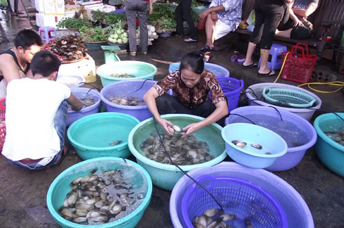 Ngoài các món thuộc nhóm “sơn hào hải vị” như tôm hùm, hải sâm, bào ngư, du khách có thể thưởng thức nhiều loại ốc độc đáo và hấp dẫn như ốc hương, ốc đĩa, ốc gai, ốc vặn, ốc mút, ốc đỏ môi…Ảnh: saigonamthuc