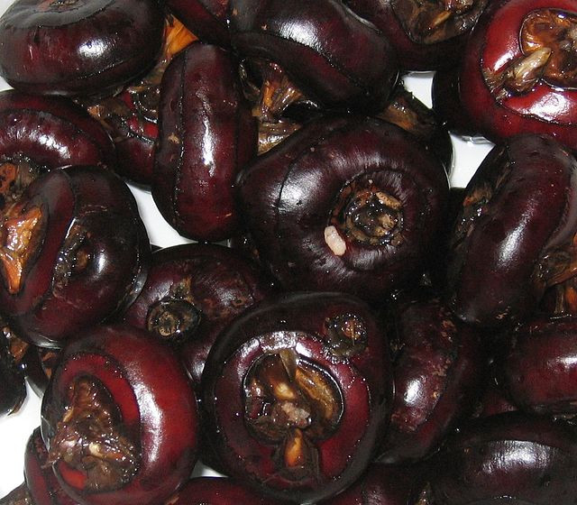 Sán lá gừng và một số loại nấm mốc khác là những ký sinh trùng thường có trong củ mã thầy. Ảnh blogcaycanh.