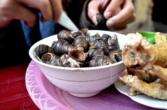 Ốc sống trong các đầm lầy, ao hồ dễ bị ô nhiễm nên có rất nhiều loại ký sinh trùng, phổ biến nhất là ký sinh trùng giun ống. Ảnh toinayangi.